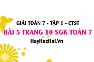 Giải bài 5 trang 10 Toán 7 Tập 1 SGK Chân trời sáng tạo